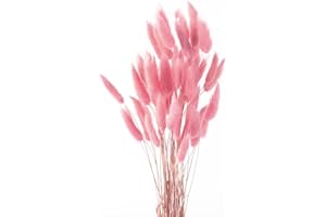 Pampasgras Getrocknet Trockenblumen, FENGCHUANG-Pampasgras Deko, 45cm 50 Stück Getrocknete Natürliche Pampasgras Pflanzen Flauschige Trockenblumen (Rosa)