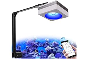 ‎POPBLOOM PopBloom WiFi Meerwasser Aquarium Beleuchtung 100W, Salzwasser LED Beleuchtung für Reef Coral SPS/LPS Fish Salzwasser Aquarium, APP unterstützt Deutsch (1 Lampe mit Armhalterung)