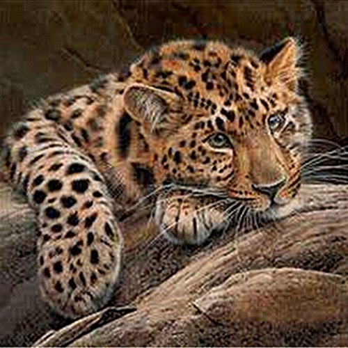 Amazingdeal365 Motiv-Leopard 5D DIY Diamond Stickerei Malerei Kreuzstich für Balkon,Terasse,Café,Kinderzimmer,Wohnzimmer, Schlafzimmer, Arbeitszimmer usw.