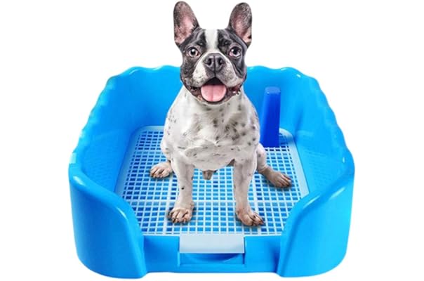 dog shock collar fence amazon