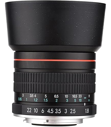 Canon Ef 75-300mm F/4-5.6 Iii Telephoto Zoom Lens For Slr Cameras