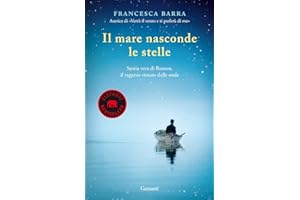 Il mare nasconde le stelle. Storia vera di Ramon, il ragazzo venuto dalle onde