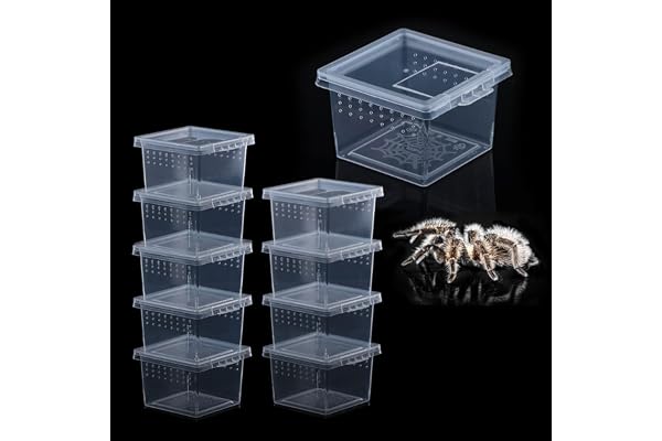 Lot de 10 boîtes d'élevage pour terrariums d'insectes, araignées, Petits Reptiles, Scorpions, Mille-Pattes en Acrylique (Petite Taille)