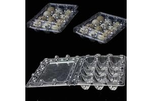 QIKAARA 50 Stück Wachtelei Schachteln Wachteln Eierschachteln 12 Gitter Kunststoff Eierschalen mit Deckel Transparente Wachteleierschachteln PVC Eier Aufbewahrungsbox für Wachteleier