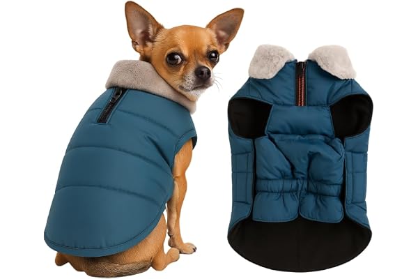 PawCloud Dog Puffer Jacket Waterproof & Windproof Winter Coat with Warm Fleece Lining & Fur Collar Lightweight, Ultra-Warm, Machine Washable Dog Winter Wear Navy Blue, X - Small - 12 Inch
