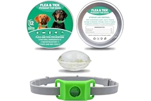 FORBANY Aqualitypets Ciondolo Antiparassitario, Ciondolo repellente per pulci e zecche per cani, ingredienti 100% naturali, protegge da pulci e zecche. (Verde, Taglia unica per tutti)