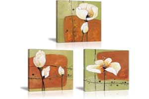 Piy Painting Peinture sur Toile - Fleurs en Floraison Image - Fleur Impression sur Toile avec Cadre - Mur Décoration Photo pour Home Salle de Bains Cadeau de la Saint-Valentin (30x30cm, Lot de 3)