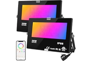 DUSKTEC Bluetooth-ansluten färg-LED-projektor med uttag, 220 V LED-spotlight 30 W RGB flerfärgad dimbar av APP IP66 vattentät för utomhus, utomhus, översvämningsljus set med 2