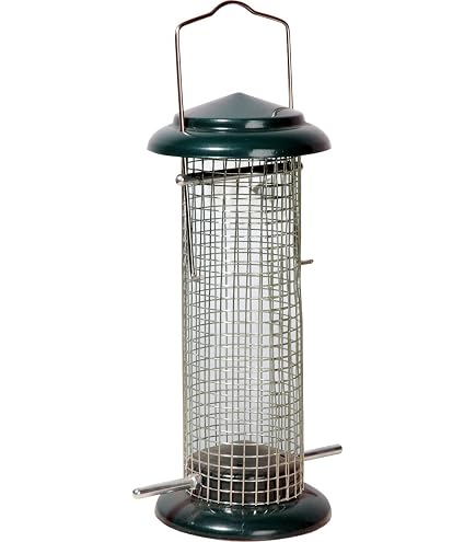 Mangeoire à Oiseaux En Plexiglas - 2 Perchoirs, Résistante Aux Intempéries | Distributeur De Graines à Suspendre (vert, Ø7x25cm)