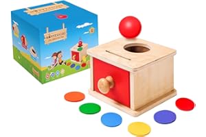 YAANI 2 in 1 Palla e gettone Montessori Giocattolo a Partire da 1 Anno, assortimento di Forme, Giocattolo a Partire dai 2 Anni, Giocattolo per Bambini, Giocattolo in Legno a Partire da 1 Anno