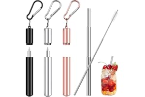 LIANGDIAN Cannucce Riutilizzabili 3Pcs Cannuccia Telescopica in Acciaio Inossidabile 304 (10-22,5 cm) Cannucce Portatile in Metallo con Moschettone, Scatola e Spazzola per la Pulizia per Viaggi