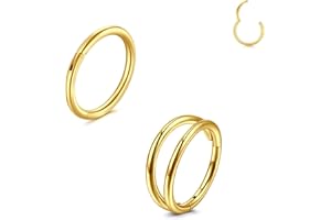 LAURITAMI 20G 18G 16G Hinged Clicker Segment Piercing Naso Cerchio Acciaio Chirurgico, Labbro Anelli Orecchino Cartilagineo Helix Trago Cartilagine Piercing Cerchio Oro Argento Nero 2 Pezzi,6/8/10mm