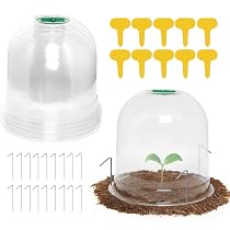 Set 20 Campane Per Piante Trasparenti In Plastica Con Valvola D'aria – Mini Serra Per Giardino, Con Picchetti E Etichette Incluse