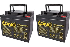 WSB BATTERY Batteria compatibile Invacare G2000 2 X Kung Long 12 V 50 Ah al piombo, batteria AGM VRLA