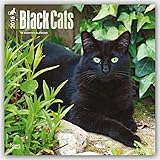 Black Cats 2016 - Schwarze Katzen - 18-Monatskalender: Original BrownTrout-Kalender [Mehrsprachig] [Kalender] (Wall-Kalender) by 