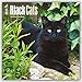 Black Cats 2016 - Schwarze Katzen - 18-Monatskalender: Original BrownTrout-Kalender [Mehrsprachig] [Kalender] (Wall-Kalender) by 