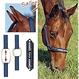 ESKADRON SAFETY Halfter mit Zierband