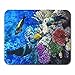 Produktbild Schreibtischunterlage,Sharm Coral Und Fisch Im Roten Meer Ägypten Riff Hurghada Landschaft Mauspad 25Cmx30Cm