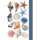 Minnymy Seashell Collection Ajanda Sticker Seti, Planlayıcı ve G&uuml;nl&uuml;k i&ccedil;in, Kendinden Yapışkanlı, 10x20 cm, Deniz Kabuğu Tema