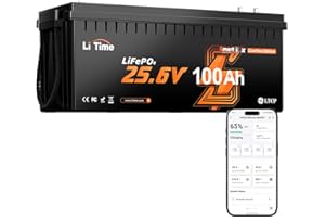 LiTime Batería de Litio de 24 V y 100 Ah LiFePO4 con Bluetooth, Compatible con Victron, CAN/RS485, 2560 WH, 4000-15000 ciclos, con protección contra Bajas temperaturas, Ideal para caravanas de tamaño
