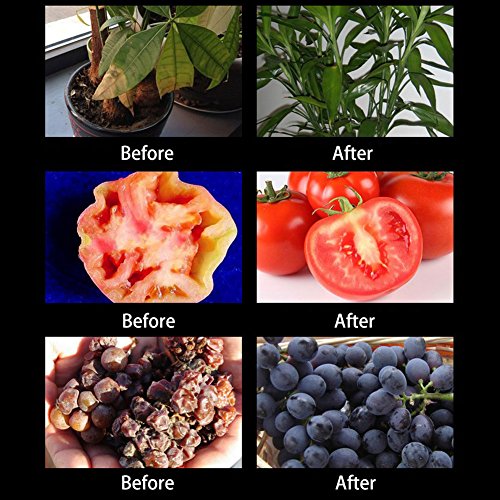 officematters (TM) 15W volles Spektrum LED Wachsendes Licht Glühbirne für Pflanzen, 78 pcs Glühbirnen für alle Phasen des Wachstums von Pflanzen Pflanzenlampen - 5