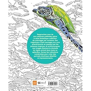 Animaux - Coloriage par Numeros Livre en Ligne - Telecharger Ebook