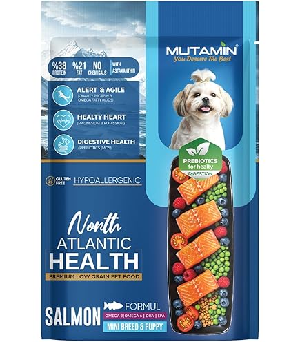 Yubka ostidagi ayollarning iflos külotlari Faqat rus havaskor porno