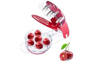 WILSONZIN Kirsche und Oliven Entkerner, Kirschentkerner, Kirschentkerner oder Stoner, Früchte Stein Samen Kern Entferner, für Kirschen Oliven Pflaume Küchenwerkzeuge für Schnell Entfernen Früchtsteinen