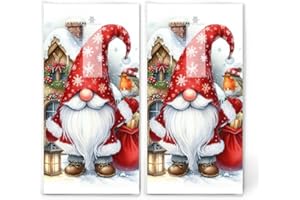 ‎SERVIETTENSHOP 20 einzelne Taschentücher Weihnachten Gnom Edik. 2 Packungen mit 10 einzelnen Papiertaschentücher bedruckt als Geschenk.
