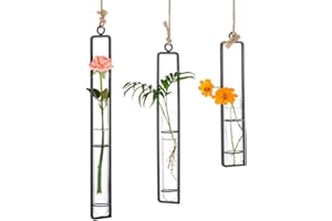 Sziqiqi Vase en Verre Créatif en Fer Forgé, Récipient Hydroponique Suspendu, Tube en Verre, Arrangement Floral, Panier Suspendu, Décoration De Plantes Suspendues De Salon Jardin, Noir