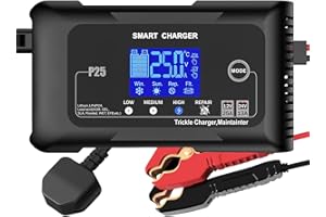 HTRC 25A Cargador de Batería de Coche 12V/24V Cargador Bateria Moto Inteligente con Pantalla LCD Adecuado para Baterías Barco, Cortacésped, Lithium, LiFePo4 y Plomo-Cido(AGM, Gel, MF, EFB, VRLA, etc)