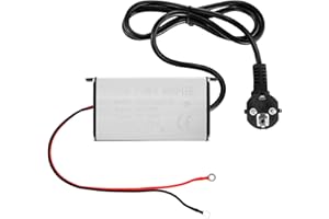 ISINEVER AC/DC Netzadapter Transformator Stromwandler Spannungswandler 230V Auf 12V für 5 kW 8 kW Standheizungen Dieselheizung, Spannungs Wandler für Wohnwagen, Wohnmobil, Garage oder den Innenbereich