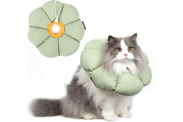 Colerette Chat Anti Léchage, Collier de Récupération Adjustable et Imperméable pour Chat, Collier de Sécurité Anti-Morsure Léchage pour Cicatrisation, Style Fleur Violette Toutes Saisons (Vert M)