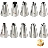 10 Pieces Professional Pastry Nozzles, Professional Pastry Sleeve, Stainless Steel Professional Set for Pastry, Cake Decorati