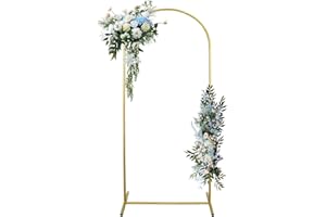 KAUCYTUE Support d'arche de Mariage de 2m, Cadre d'arrière-Plan arqué en métal pour Anniversaire, Mariage, Remise de diplôme, fête, célébration d'anniversaire Décoration d'arrière-Plan en Studio