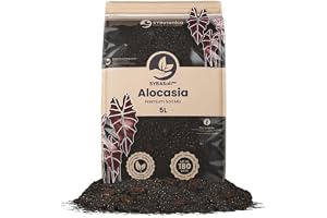 Sybotanica Alocasia jord 5 L, kokosjord torvfri för krukväxter