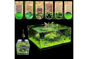 lamphle 600Pcs Aquatics Acqua Erba Semi di piante Acquario Acquario Paesaggio Decorazione Fiore Albero da frutto Semi di ortaggi Semi di erba acquatica 600 pezzi