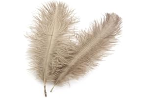 DUORIES 10 Stück 15-20cm Natürliche Straußenfedern,Strauß Feder zum Basteln,Bastel Federn für DIY Traumfänger Zubehör,Heimdekoration,KostüMe,Tischdeko Hochzeit Party Fest Hüte Kleidung Dekoration,Khaki