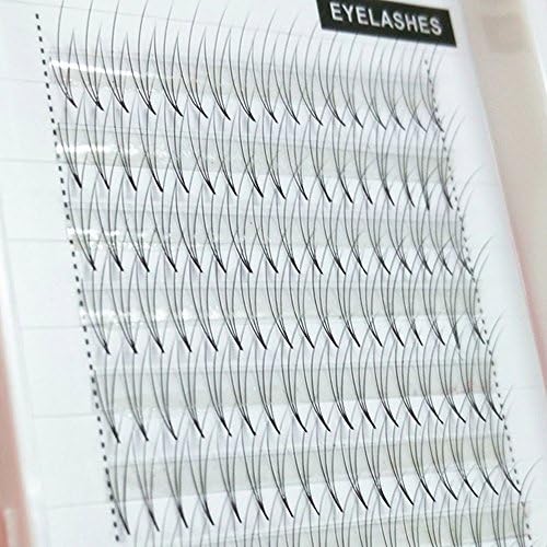 1Tray 3D Luxury Volume Lash Extension Fans C Curl Volume Individual Eyelash Extensions Classic Lash South Korea Silk Lash(10MM)