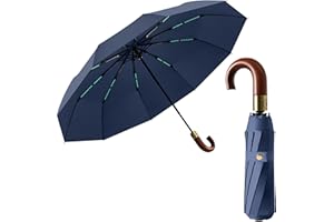 ERISED'S BIFROST Parapluie Pliant Luxueux pour Homme, 10 Baleines de Voyage pour Hommes et Femmes,Résistant au UV/Anti Tempete/Ouverture et Fermeture Automatique Protection UV,Poignée J en Bois Véritable