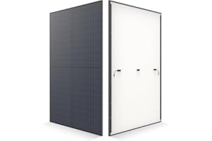 EF EcoFlow Panneau solaire rigide 450W*2, 23% de rendement，IP68 étanchéité, idéal pour capter l'énergie solaire, en réseau ou hors réseau, l’alimentation domestique et camping-cars