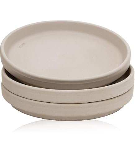 müslischale weiß porzellan MALACASA 8er Müslischalen Set, 300ml Dessertschalen, Ø 11,5 cm Seltmann weiden