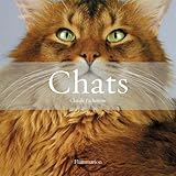 Image de Chats Coffret en 2 volumes : Histoires de chats ; Les plus beaux chats