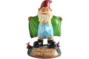 PRO-NOKE Funny Garden Gnome Statue Resin Gnomes Figurines SAY Hello to My Little Friend Indoor Ornament Gift Outdoor Garden Decorations for Home Patio Yard Lawn Porch (Green)