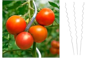 DOKADO Tomaten-Spiralstab, Stahl verzinkt 110 cm Tomatenstäbe Tomatenpflanzstab, Set:10