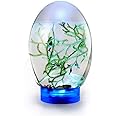 WABHDN Spherical Fish Tank Aquatic Ecosystem, Ecosphere Closed Aquatic Ecosystem, with LED Base Desktop Fish Tank,Blue