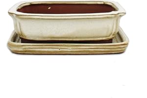 Exotenherz - Bonsai-Schale mit Unterteller Gr. 2 - hellbeige - rechteckig - Modell G12 - L 15,5cm - B 12cm - H 4,5cm