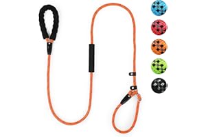 CTYVIOR Slip Lead for Dogs with Soft Padded Handle, 1.8m length Reflective Rope Dog Lead, Slip on Easily No Collar Required or Harness Needed,Anti-Choking,Dog Training Lead For Training/Walking (Orange)