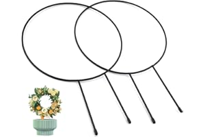 BRIOTA 2 Pack Climbing Plant Support, 13.3" Decorative Potted Plant Supports, Plant Trellis Stakes, Decorative Garden Trellis for Climbing Plants -Vine, Ivy, Flowers, Vegetables, Round Black Coated
