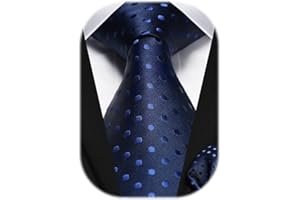 HISDERN Męski krawat paisley chusteczka ślubna krawat i poszetka zestaw